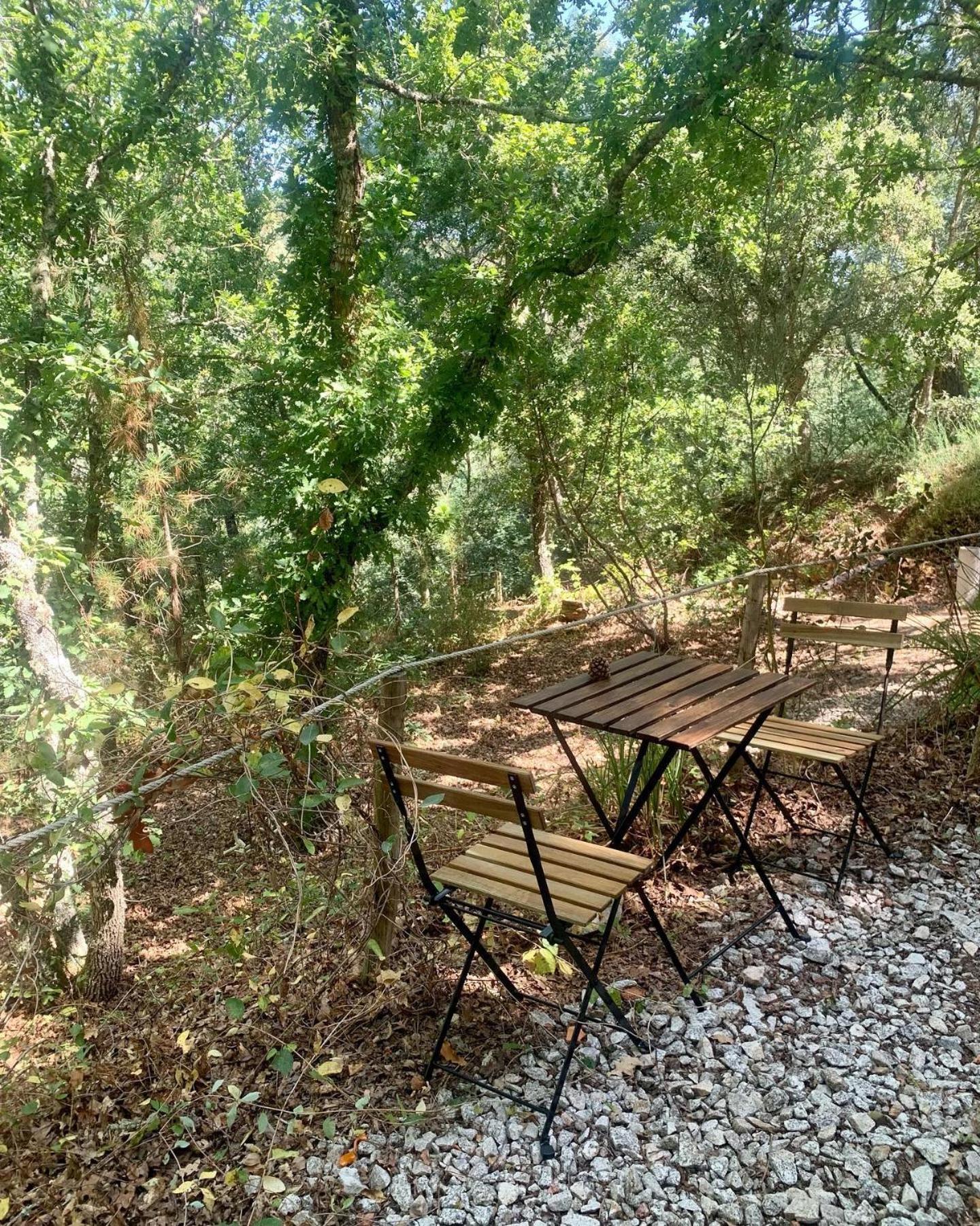 塔布阿Quinta Da Lontra别墅 外观 照片