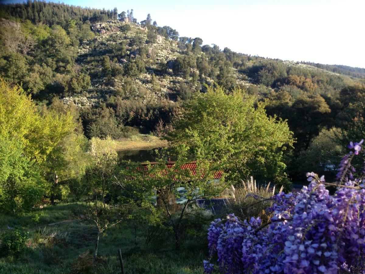 塔布阿Quinta Da Lontra别墅 外观 照片
